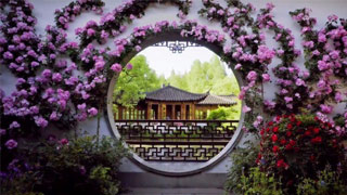 《杭州映像诗》八分钟感受最精致的杭州